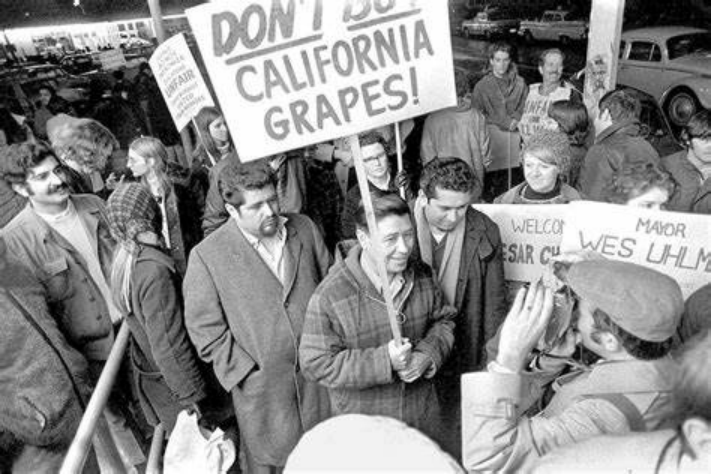 1969年凯撒·查韦兹领导加利福尼亚葡萄农工罢工