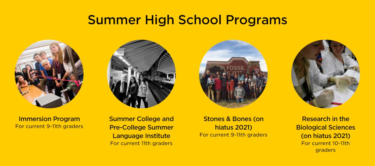 2021年芝加哥大学夏校项目汇总：Immersion Program/Summer Language Institute
