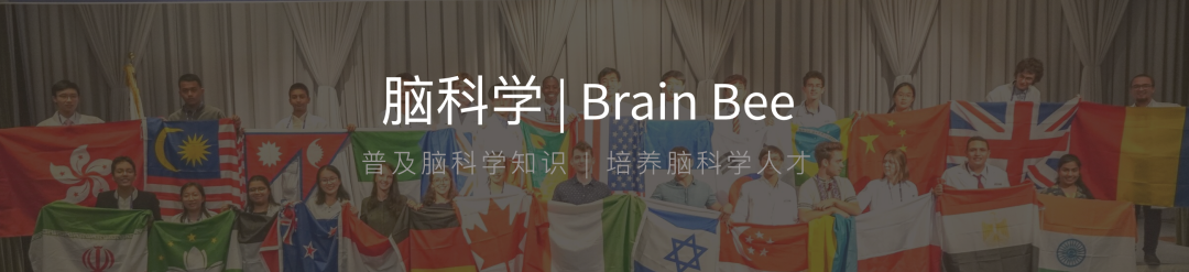 招生官：参加Brain Bee脑科学竞赛了？发offer！|| 卷王必备
