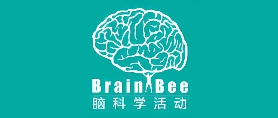 2024年Brain Bee脑科学活动报名即将截止！想要参赛的同学可别错过！报名方式/竞赛时间/考察内容等都在这！|附赠Brain Bee 2024年考试大纲/备考相关教材免费下载领取